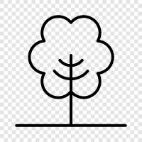 growth, leaves, bark, flowers icon svg