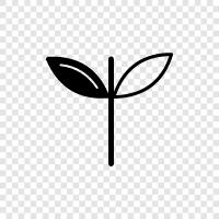 growth, flowers, leaves, stem icon svg