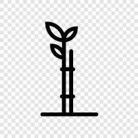 growth, leaf, photosynthesis, sunlight icon svg