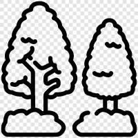 growth, leaf, bark, roots icon svg