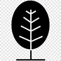 growth, leaves, bark, flowers icon svg