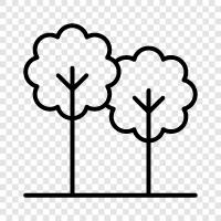 growth, leaves, bark, flowers icon svg