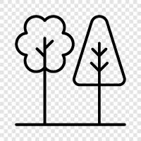 growth, leaves, bark, branches icon svg