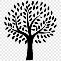 growth, leaves, roots, Tree icon svg