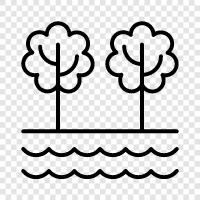 growth, leaves, bark, branches icon svg