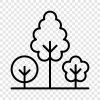 growth, leaves, bark, branches icon svg