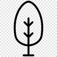 growth, leaves, bark, flowers icon svg