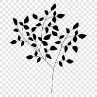 growth, foliage, bark, leaves icon svg