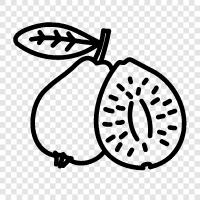 guava fruit, guava tree, guava juice, guava paste icon svg