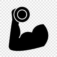 Gymnastik, Fitness, Ernährung, Muskel symbol