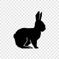 Habbit, Hare, Rabbitry, Feral icon svg