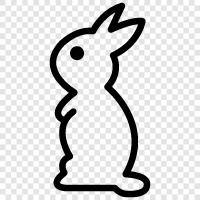 Habbit, Bunny, Eared Rabbit, Pygmy Rabbit symbol