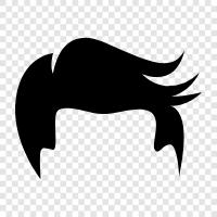 hair extensions, hair dye, hair growth, hair loss icon svg