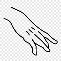 hand, hands, human, anatomy icon svg