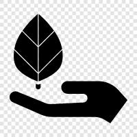 Hand Leaves, HandLeafed Plants, HandLeafed, Hand Leaf icon svg