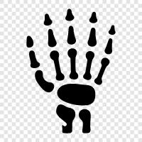 Hand, Bone, Bones, Wrist icon svg
