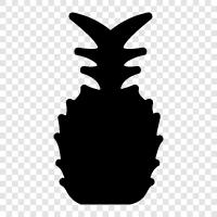 Hawaiian pineapple, Mexican pineapple, Ananas comosus, ananassa icon svg