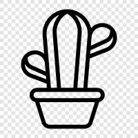 the, fat plant icon svg