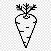 health, vitamin A, betacarotene, carrots for kids icon svg