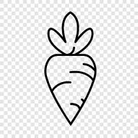 healthy, vegetable, dietary, vitamin A icon svg