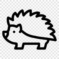 Hedgehog bakımı, Hedgehog cinsi, Hedgehog diyeti, Hedgehog kafesleri ikon svg