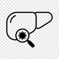 hepatitis C, hepatitis B, hepatitis A, hepatitis E icon svg