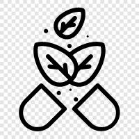 herbal remedies, herbal supplements, alternative medicine, herbal drug icon svg