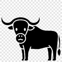 herd, animals, america, national icon svg