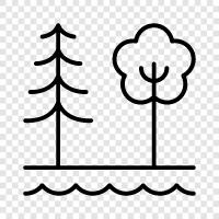 hiking, camping, fishing, swimming icon svg