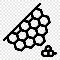 hive, beehive, honey, apiary icon svg