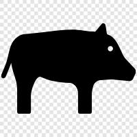 hog, tusker, pig, razorback icon svg