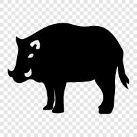 hog, wild, meat, pork icon svg