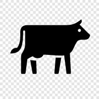 Holstein, beef, milk, cheese cow icon svg