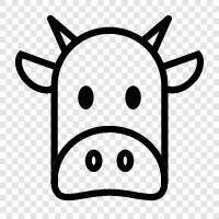 Holstein, Jersey, Beef, Dairy icon svg