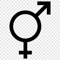 homosexuell, lesben, transgender, pansexuell symbol