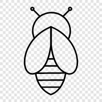 honey, pollination, sting, honey bee icon svg