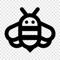 honey, pollination, honey production, beekeeping icon svg