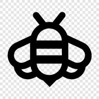 honey, pollination, honey bee, bumble bee icon svg