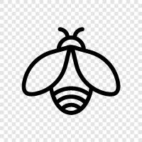 honey, pollination, beekeeper, bee icon svg