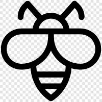 honey, beekeepers, beekeeping, bee products icon svg