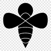 Honig, Bestäubung, Stachel, Drohnen symbol