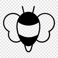 honey, sting, pollination, colony icon svg