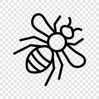 honey, bee, agriculture, pollination icon svg