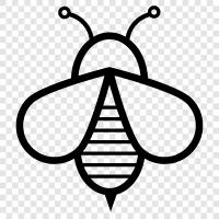 Honig, Bestäubung, Honigproduktion, Bienenzucht symbol