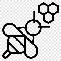 honey, pollination, beekeeping, apiary icon svg