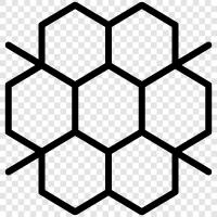 honey, beekeeping, apiary, beekeeping supplies icon svg