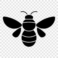 honey, beehive, pollination, sting icon svg