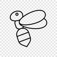 honey, beekeeping, pollination, beekeeping equipment icon svg