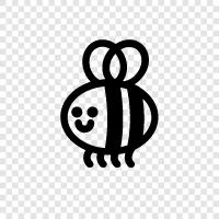 honey, beekeeping, pollination, bee icon svg