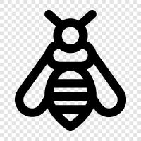 honey, pollination, honey bees, beekeeping icon svg